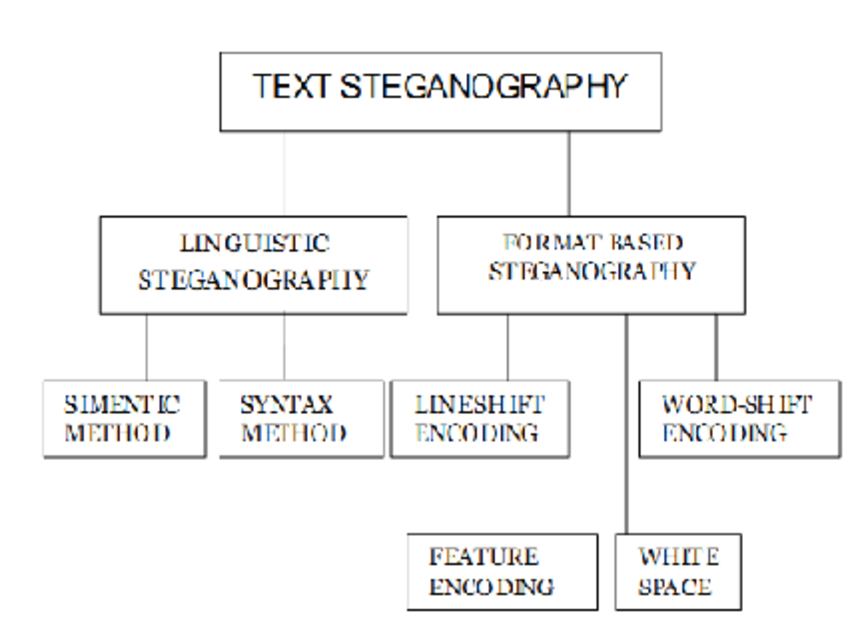 steganography download